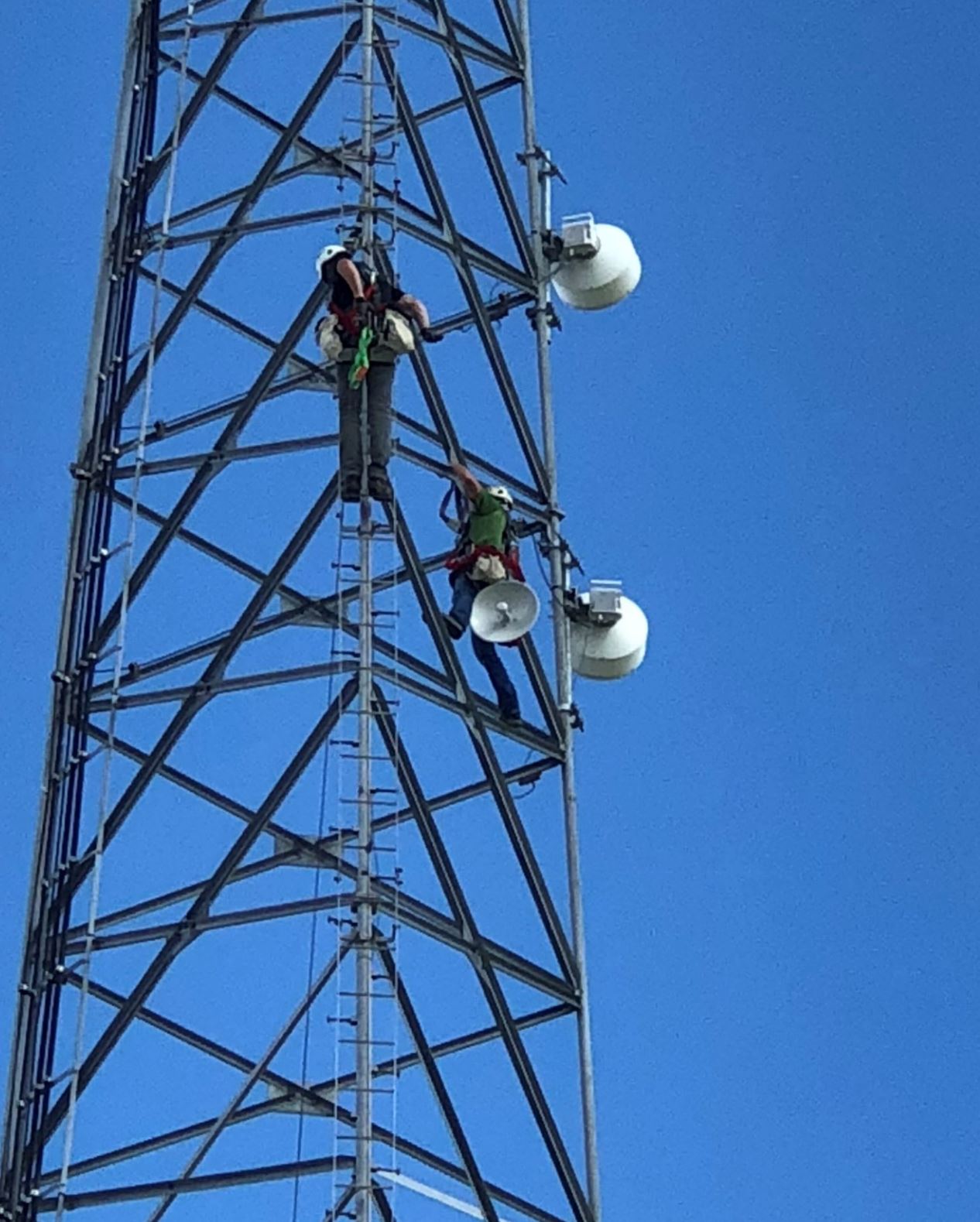 Tower Services Backhaul Engineering
